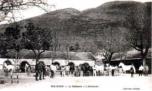 MILIANA - REMONTE - ABREUVOIR
